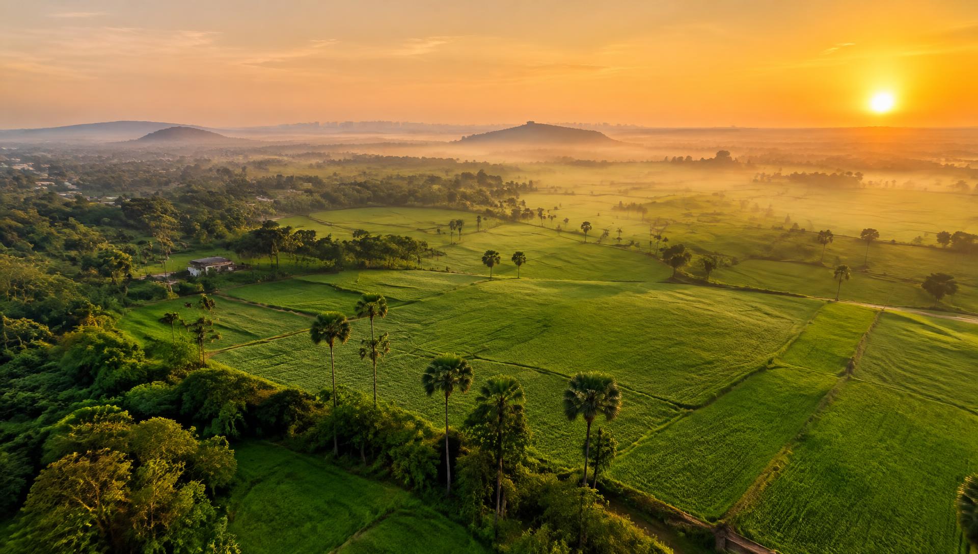 Green farmland at golden hour